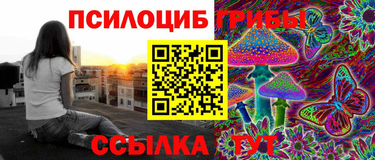 Псилоцибиновые грибы Cubensis Ступино