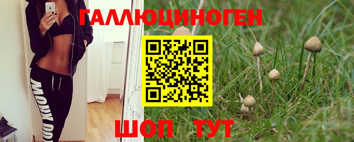 Ступино  Псилоцибиновые грибы ЛСД  Псилоцибиновые грибы ЛСД  Вход с VPN 